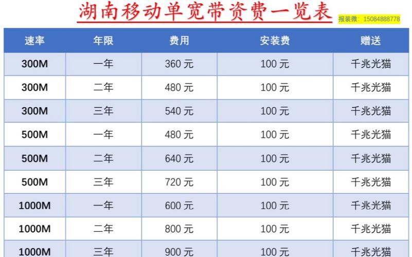 长沙手机流量卡（长沙联通流量卡）