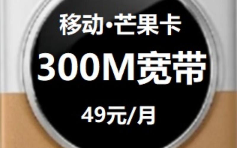 中国移动大流量卡（中国移动大流量卡怎么样）