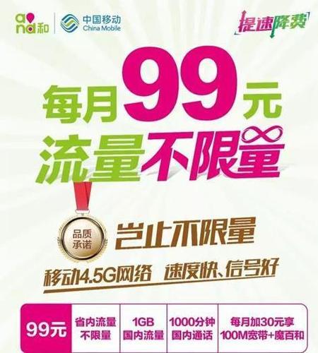 流量年卡99(流量年卡怎么办) 第3张 流量年卡99(流量年卡怎么办) 第3张