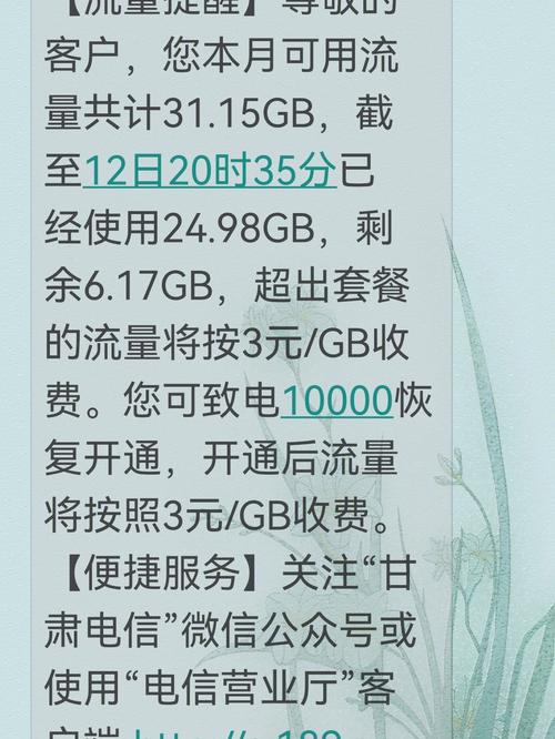 电信卡流量不够用(电信卡流量不够用怎么买) 第5张 电信卡流量不够用(电信卡流量不够用怎么买) 第5张