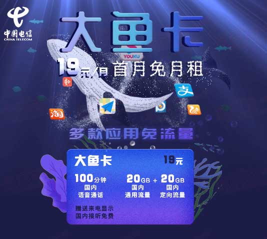 大鱼卡限流量(大鱼卡定向流量有多少) 第4张 大鱼卡限流量(大鱼卡定向流量有多少) 第4张