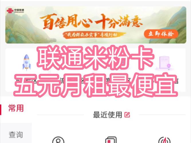 小米日租卡怎么查流量(小米日租流量在哪?) 第2张 小米日租卡怎么查流量(小米日租流量在哪?) 第2张