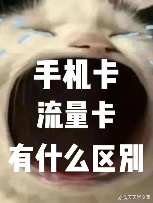 流量卡的作用(专门用流量的卡) 第2张 流量卡的作用(专门用流量的卡) 第2张