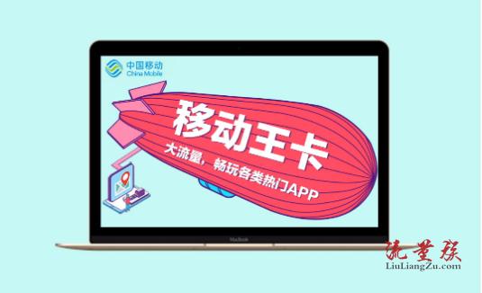 联通流量卡王(联通流量卡王porMAX怎么样) 第1张 联通流量卡王(联通流量卡王porMAX怎么样) 第1张