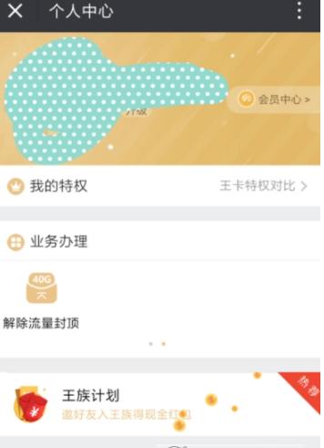 大王卡不限流量服务(大王卡免流量限制) 第5张 大王卡不限流量服务(大王卡免流量限制) 第5张