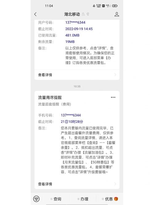 日租卡不用流量扣钱吗（日租卡还要月租吗）