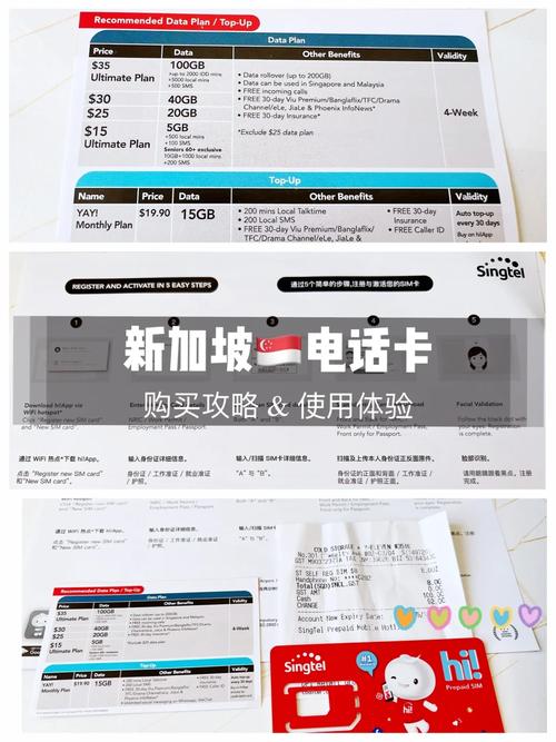 新加坡入境流量卡(新加坡入境流量卡免费吗) 第2张 新加坡入境流量卡(新加坡入境流量卡免费吗) 第2张