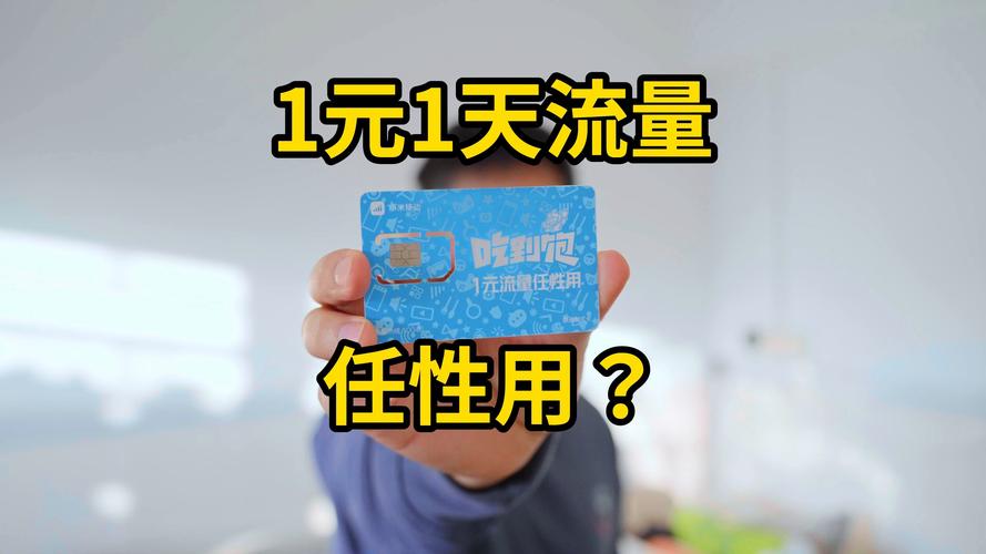 小米流量卡19，小米流量卡19元一天一元任性用是什么意思