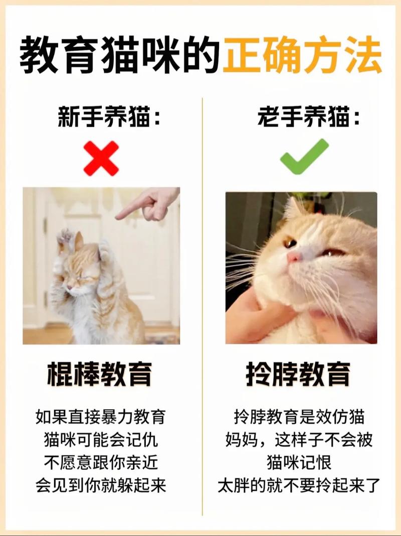小超人流量卡？小超人流量卡怎么激活