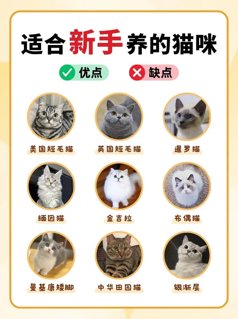 小超人流量卡？小超人流量卡怎么激活