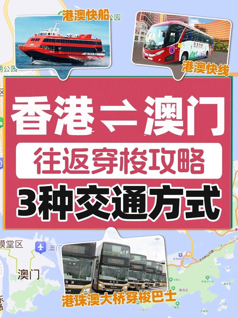 横琴口岸流量卡（横琴口岸签注）