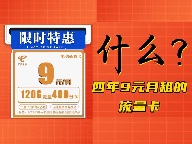 九块钱的流量卡(九块钱的流量卡可以用吗) 第1张 九块钱的流量卡(九块钱的流量卡可以用吗) 第1张