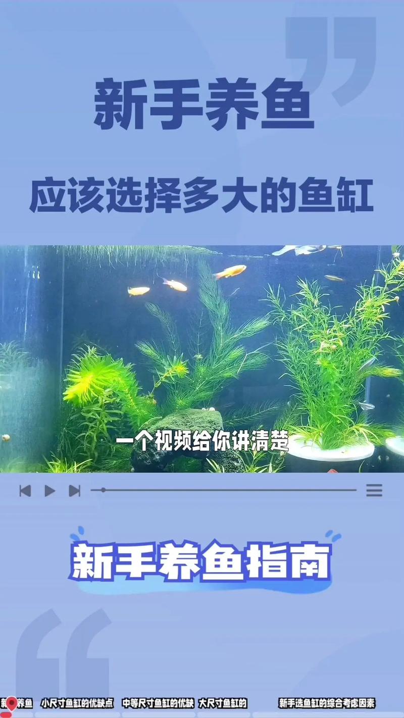 钟小鱼流量卡,小鱼卡流量用超了怎么办 第1张 钟小鱼流量卡,小鱼卡流量用超了怎么办 第1张