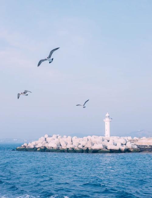 济州机场流量卡?济州机场流量卡免费吗 第4张 济州机场流量卡?济州机场流量卡免费吗 第4张