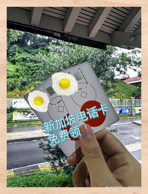 新加坡流量卡移动?新加坡不限流量上网卡 第4张 新加坡流量卡移动?新加坡不限流量上网卡 第4张