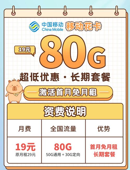 花卡多少流量（花卡流量怎么计算的）