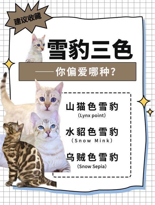 黑龙江流量卡移动(黑龙江省内流量卡) 第4张 黑龙江流量卡移动(黑龙江省内流量卡) 第4张