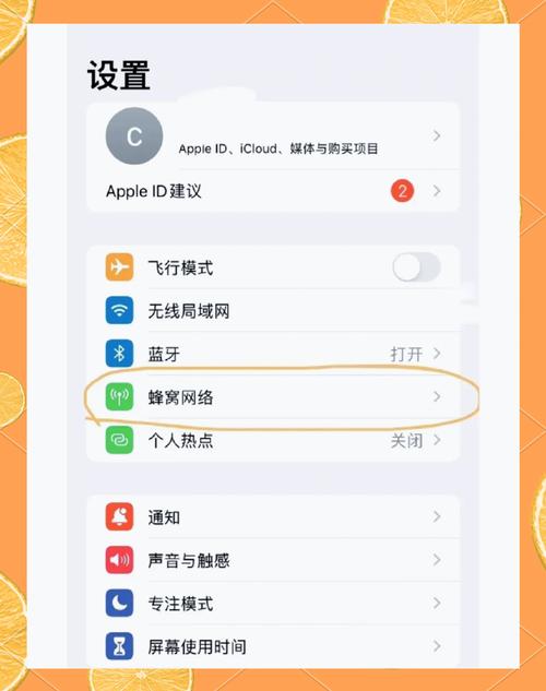 苹果怎么不用主卡流量,iphone设置不用副卡打电话 第3张 苹果怎么不用主卡流量,iphone设置不用副卡打电话 第3张