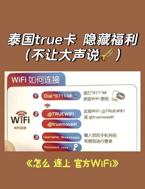 泰国true流量卡,泰国true卡流量套餐 第6张 泰国true流量卡,泰国true卡流量套餐 第6张
