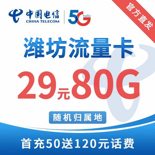 山东流量卡电信(山东流量卡电信可以用吗) 第5张 山东流量卡电信(山东流量卡电信可以用吗) 第5张