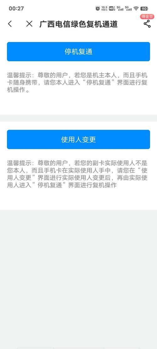 苹果手机副卡流量（苹果手机副卡流量怎么限制）