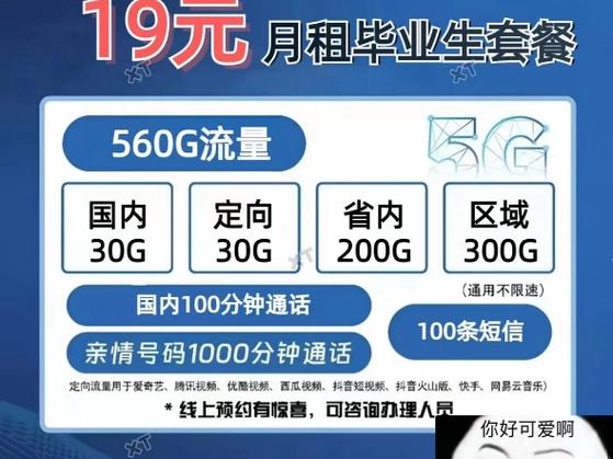 安徽中国电信流量卡？宿州电信流量卡