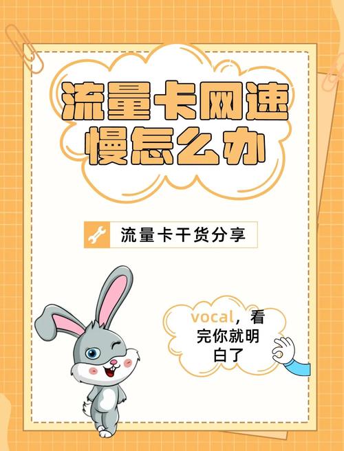网上办的流量卡网速慢，在网上办的流量卡为什么卡的用不了