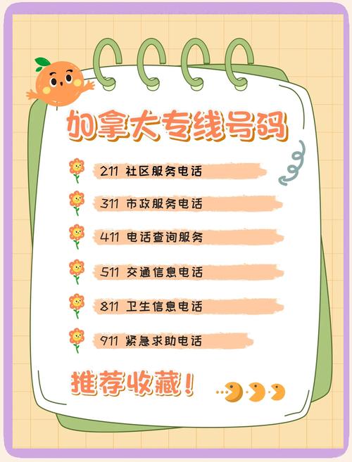 加拿大多伦多流量卡，移动加拿大流量包