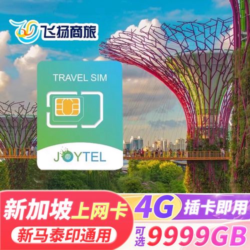 新马泰用什么流量卡（新马泰自由行详细攻略）