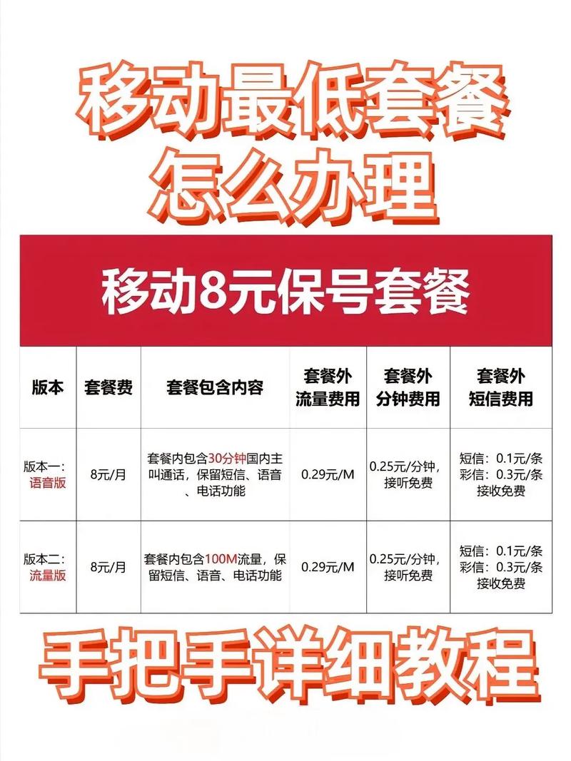 中国移动保号流量卡（移动 保号卡）