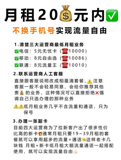 地王卡赚流量（地王卡的流量）