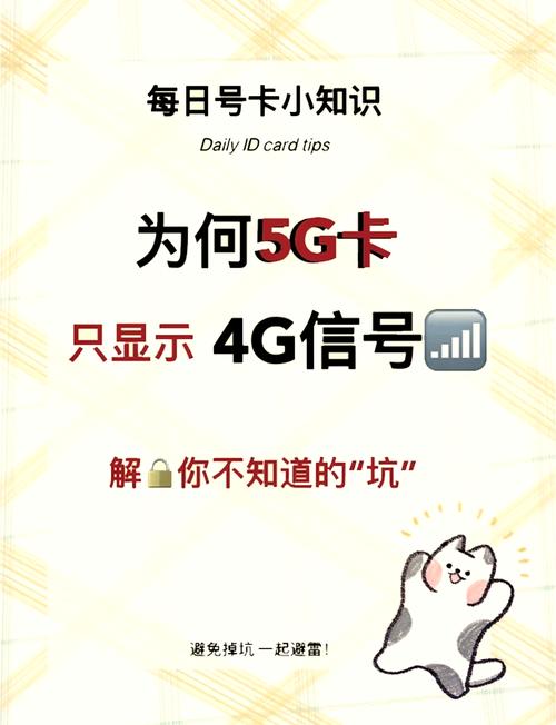 流量卡5g网速，5g网络流量卡