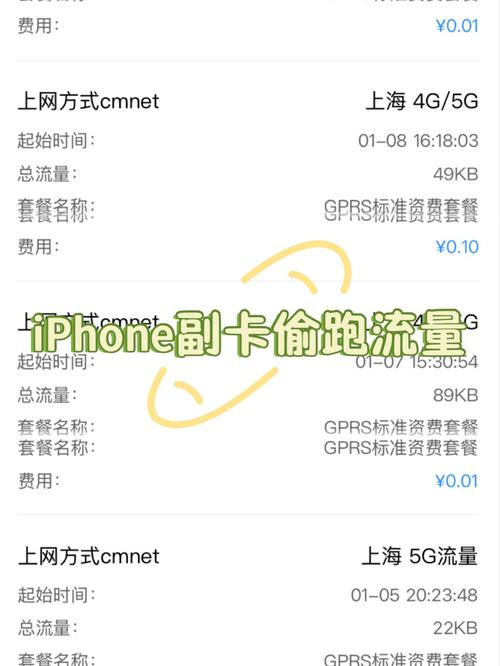 苹果偷跑另一个卡流量?iphone偷流量怎么解决 第5张 苹果偷跑另一个卡流量?iphone偷流量怎么解决 第5张
