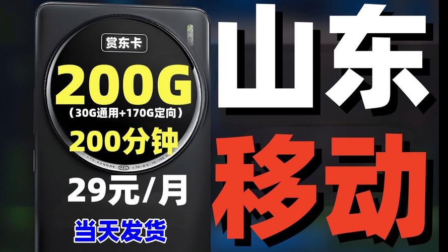 山东移动办流量卡（山东移动办流量卡怎么收费）