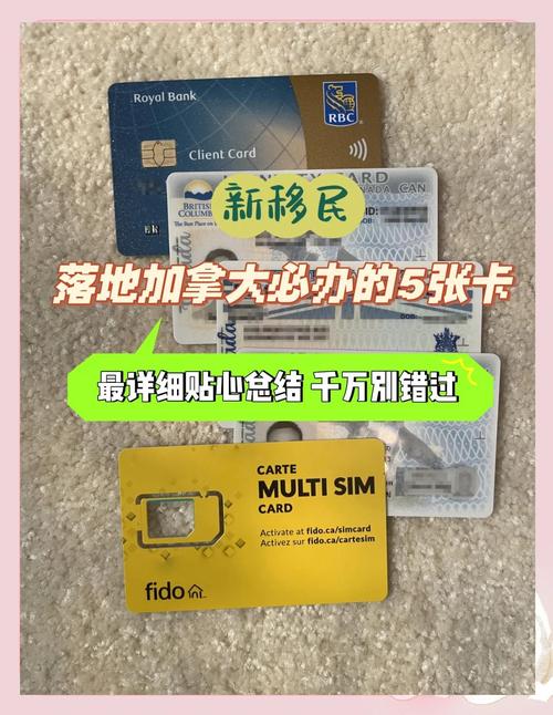 加拿大的流量卡(加拿大流量卡,多少钱) 第2张 加拿大的流量卡(加拿大流量卡,多少钱) 第2张