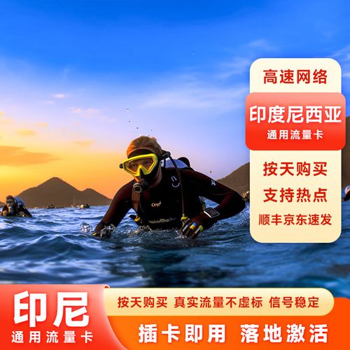 印度尼西亚机场流量卡(印度尼西亚手机卡怎么获取号码) 第4张 印度尼西亚机场流量卡(印度尼西亚手机卡怎么获取号码) 第4张