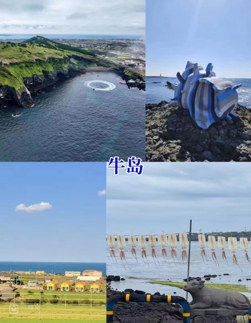 济州岛机场买流量卡，济州岛机场免税店  第1张