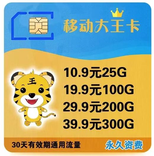 移动不限速大流量卡，移动不限速的流量卡  第7张