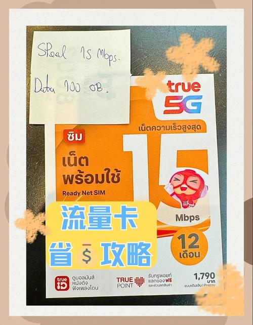 去泰国办流量卡（泰国流量卡可以在国内使用吗）  第6张