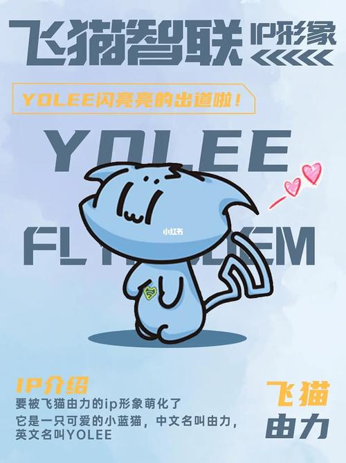 蓝猫智联流量卡，蓝猫智联流量卡怎么用
